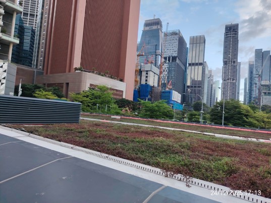 Living MOSS Vertical Green at night in Germany